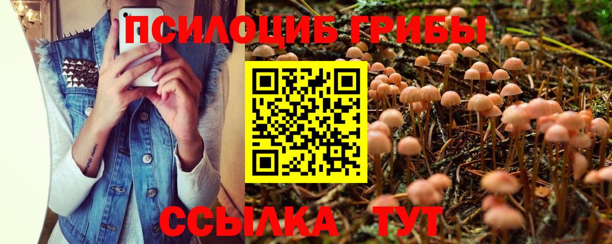 Псилоцибиновые грибы Cubensis  Вход с VPN  Галлюциногенные грибы прущие грибы  Гусиноозёрск 