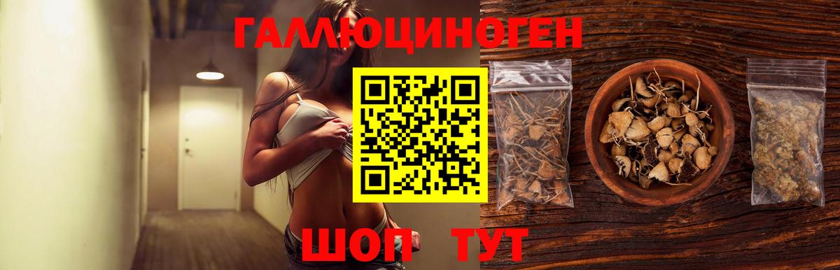 Галлюциногенные грибы GOLDEN TEACHER  Гусиноозёрск  Галлюциногенные грибы Psilocybine cubensis 