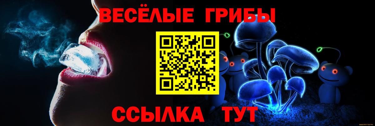 Галлюциногенные грибы Magic Shrooms Гусиноозёрск